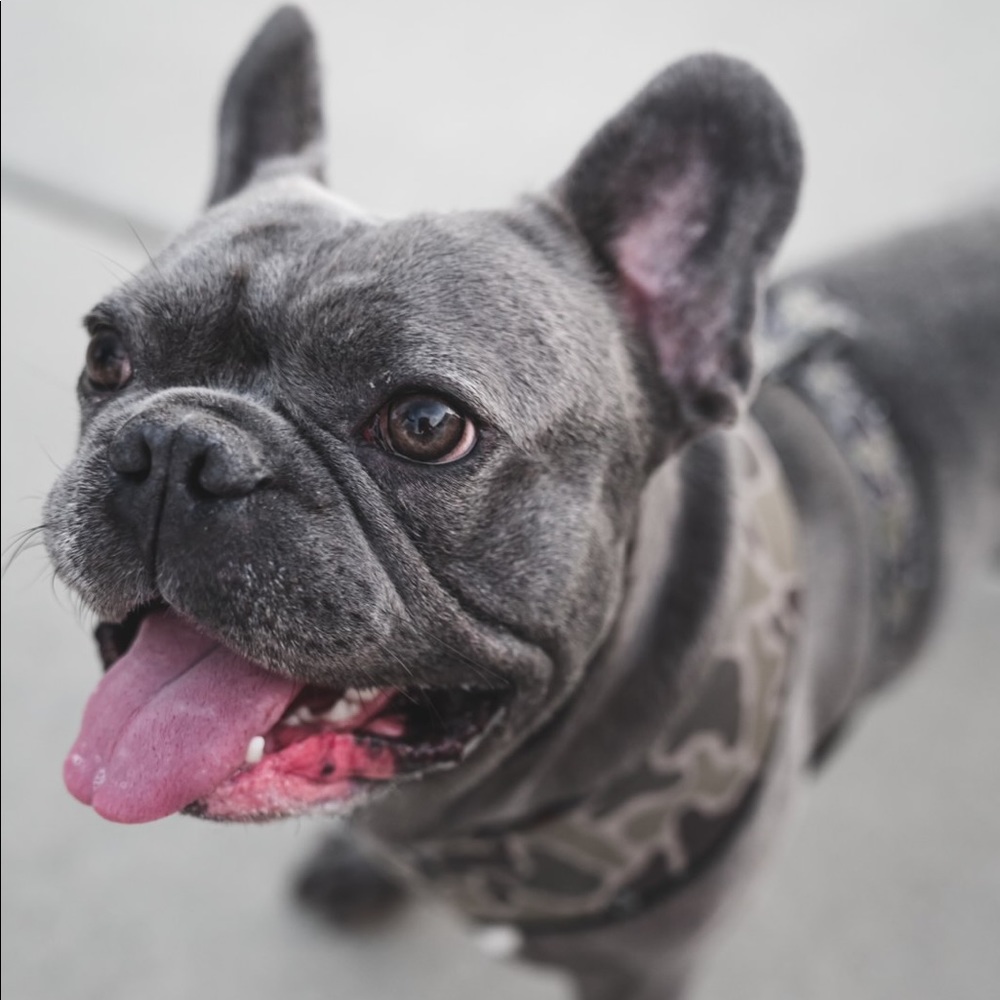 Meet your Posher, Kristin